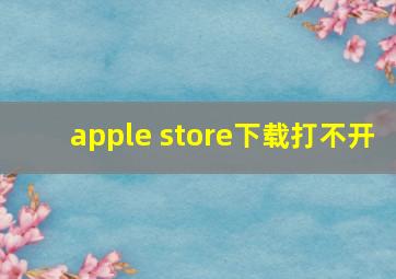 apple store下载打不开